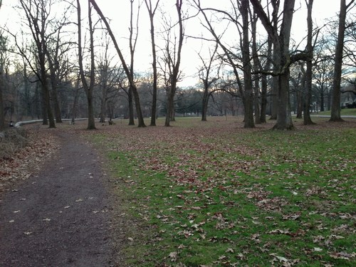 Tookany Creek Park walking path